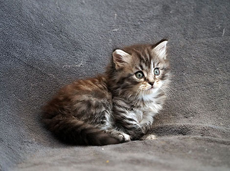 Svetlana am 19.06.2025